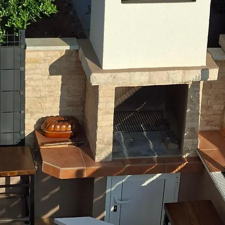 Aurelia 30 Meters From The - By Ta Leut Agency Vir