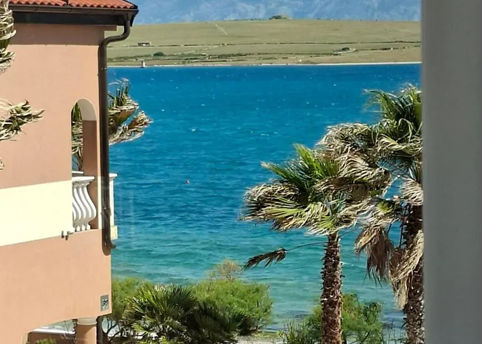 Aurelia 30 Meters From The - By Ta Leut Agency Vir